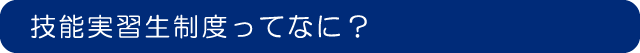 技能実習生制度ってなに？