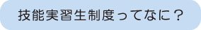 技能実習生制度ってなに？